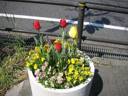 写真④_無害化済.jpg