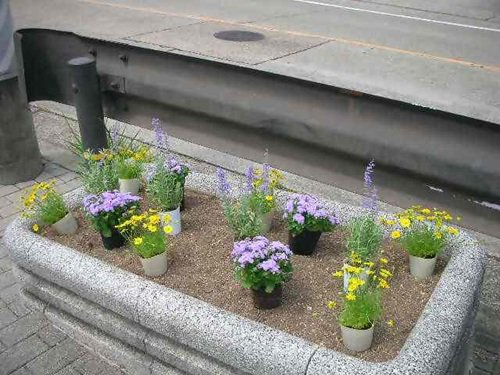 写真④_無害化済.jpg