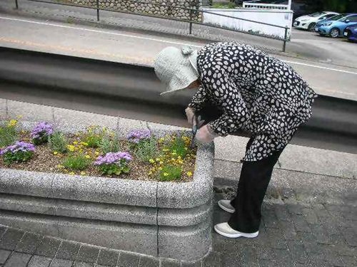 写真④_無害化済.jpg