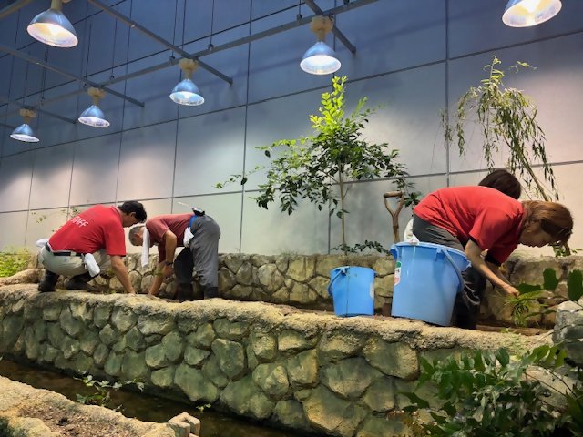 田植えをしている様子.jpg