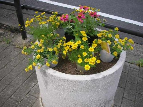 ブログ記事「植替え（星が丘門花便りNo.176）」のサムネイル画像