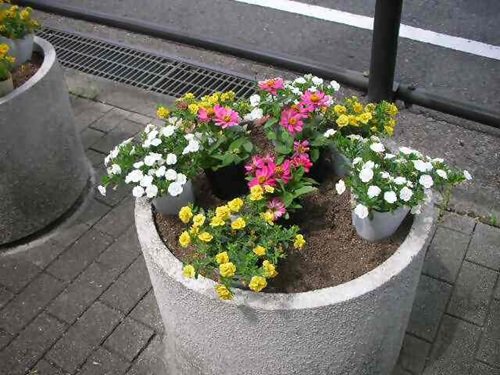 写真②_無害化済.jpg