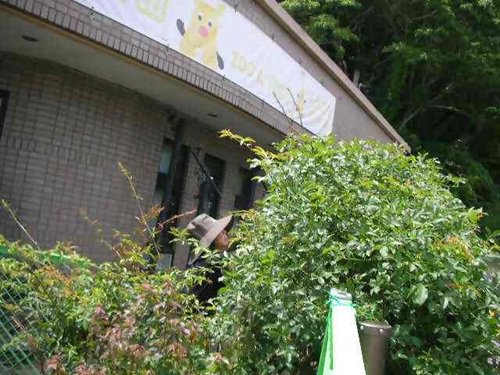 写真②_無害化済.jpg