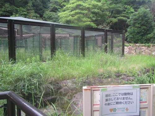 草刈り前①.jpg