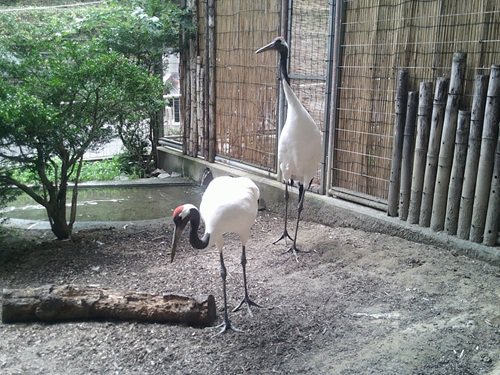 写真④.JPG
