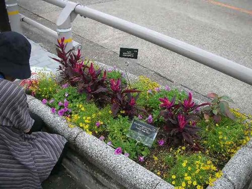 写真⑥_無害化済.jpg