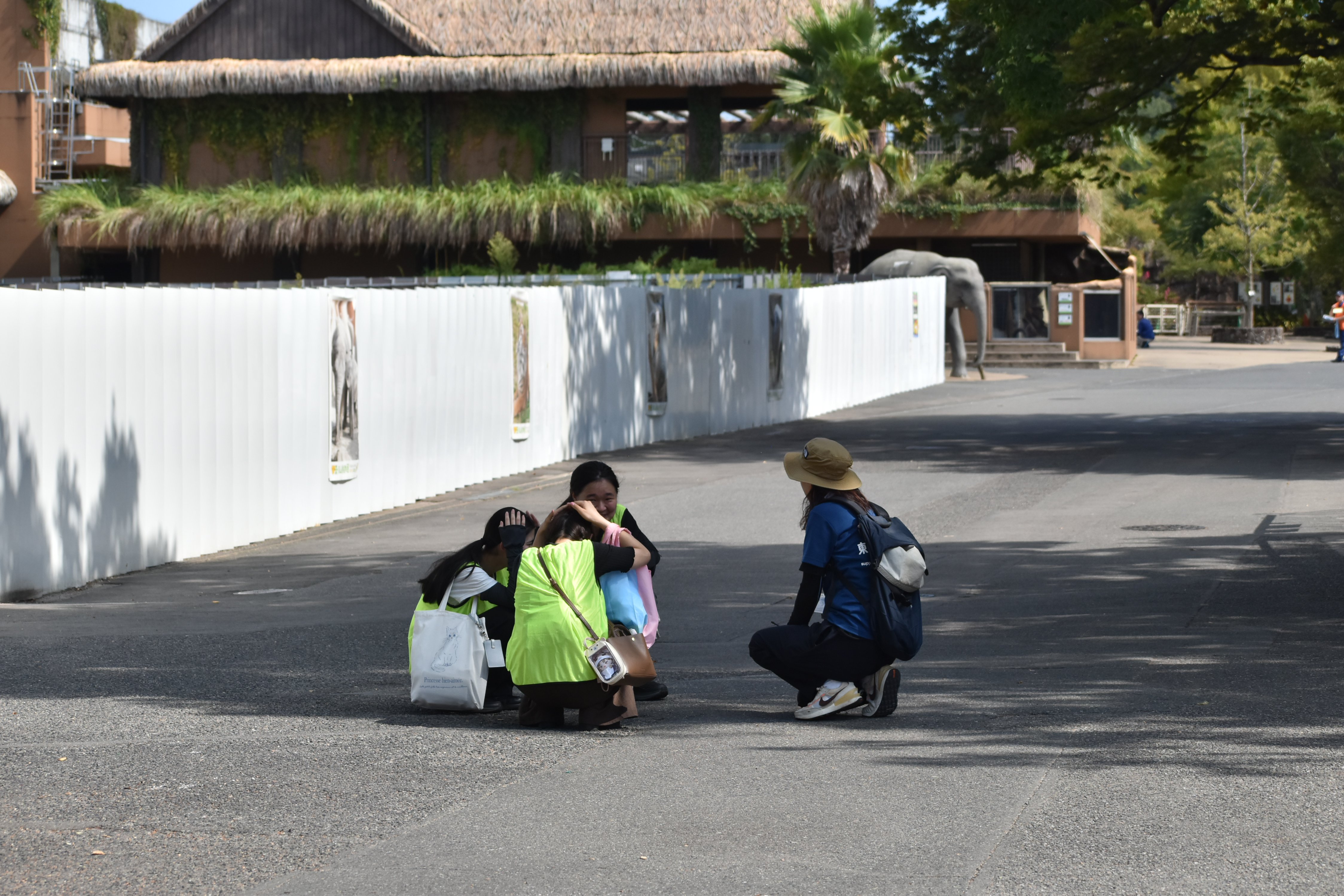 ブログ記事「地震対策訓練を行いました～もし動植物園内で地震が発生したら～」のサムネイル画像