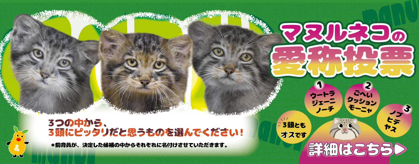 HPバナー（詳細はこちらあり）.png