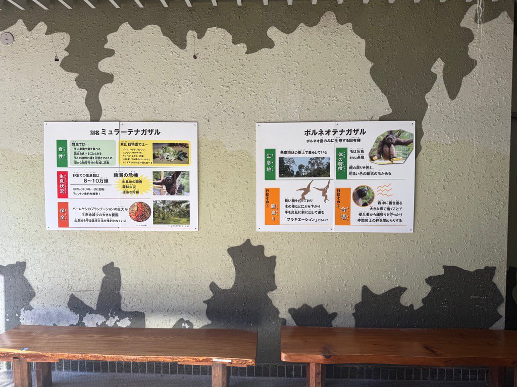 ブログ記事「テナガザル～キツネザル」のサムネイル画像