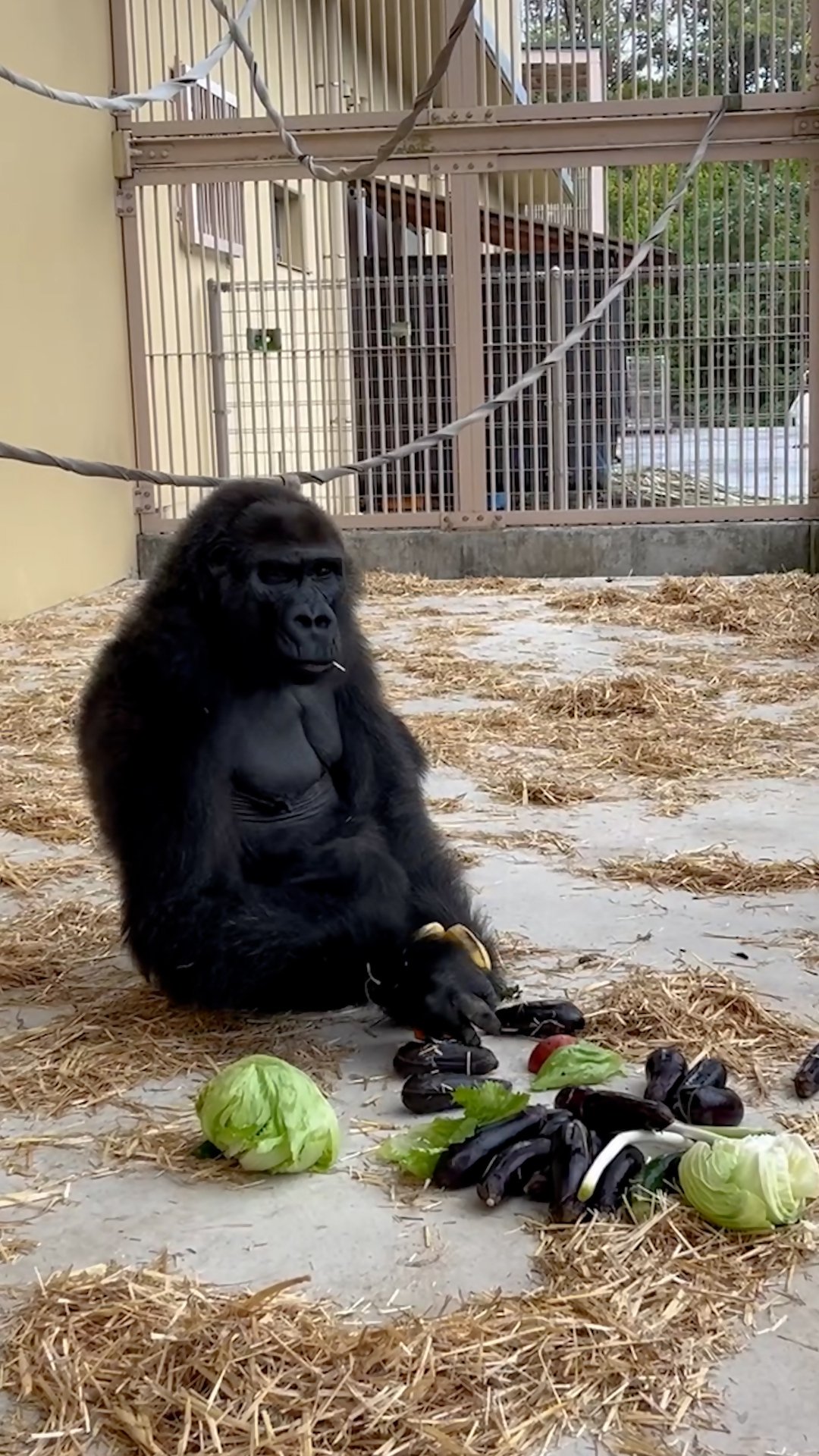 ブログ記事「絶対にひとり生活満喫中だよね！？」のサムネイル画像