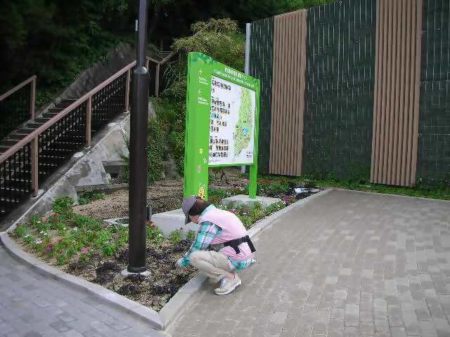写真⑥_無害化済.jpg