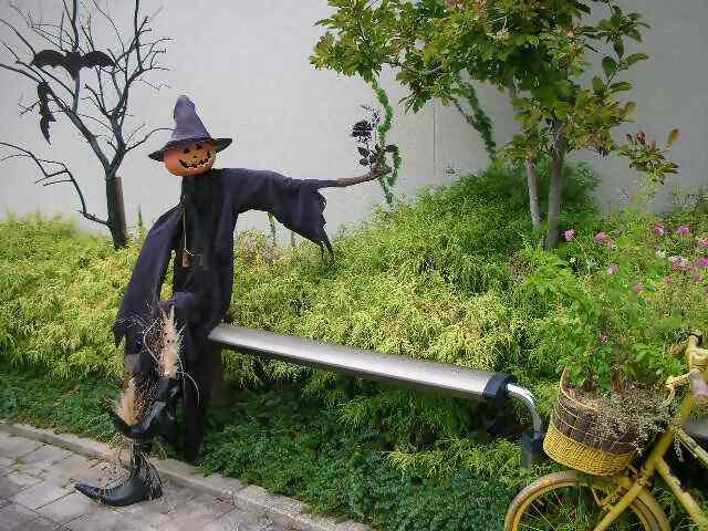 写真①_無害化済.jpg