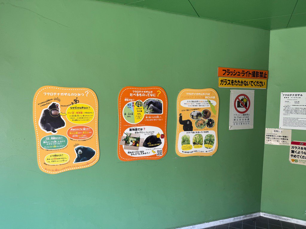 フクロテナガザルの看板.jpg