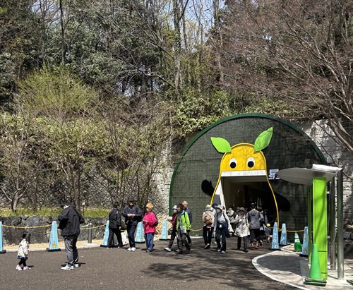 ブログ記事「学生連携による植物園のにぎわいづくり～ぴよどらCafé＋（ぷらす）～」のサムネイル画像