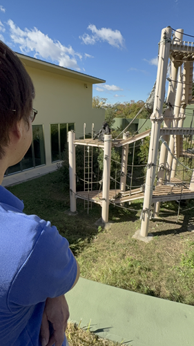 ブログ記事「魔法使いアニー☆」のサムネイル画像