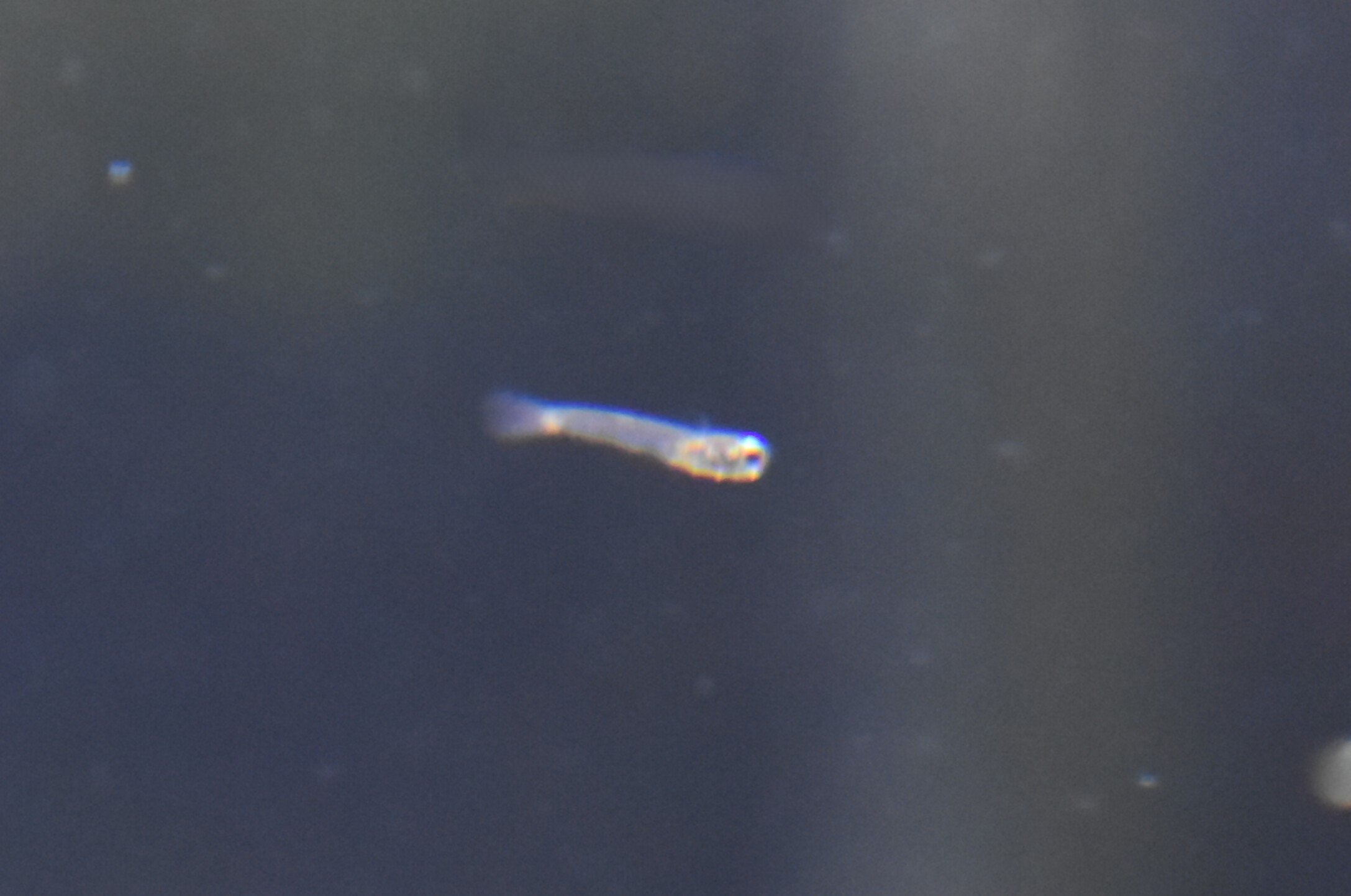 ブログ「探せるかな？」のサムネイル画像