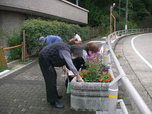 ブログ記事「冬支度（ 星が丘門花便りNo.182）」のサムネイル画像