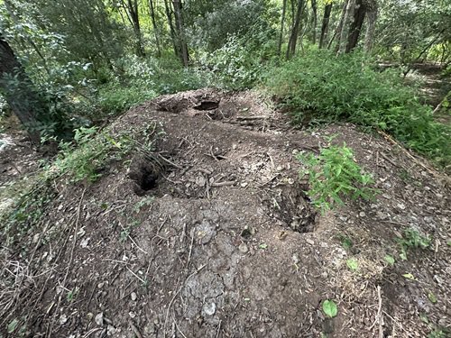 写真4 ツカツクリの巣穴.jpg