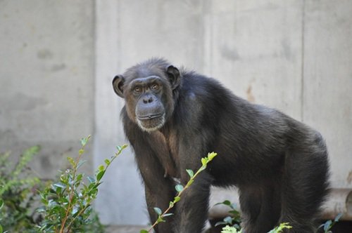 ブログ記事「ビックママの誕生日！」のサムネイル画像