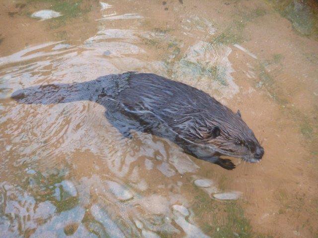 ブログ記事「お宅訪問」のサムネイル画像