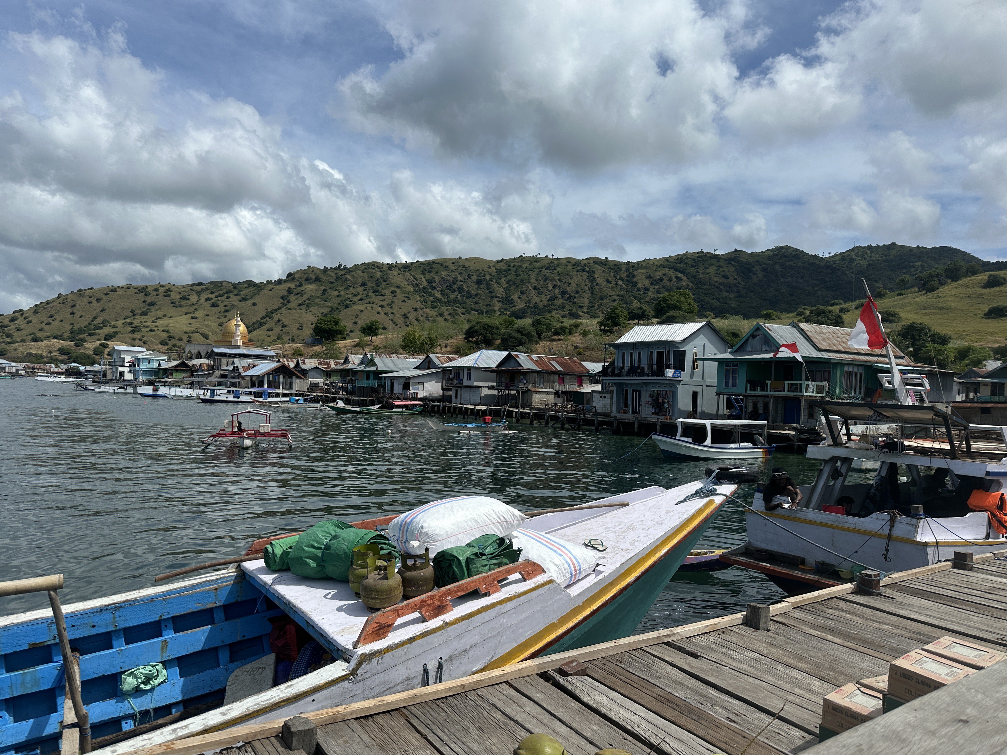 ブログ記事「コモド紀行（5）～コモドオオトカゲと人とのかかわり～」のサムネイル画像