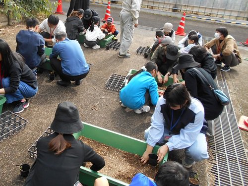 ブログ記事「「ユーカリの苗植え替えワークショップ」を開催しました 」のサムネイル画像