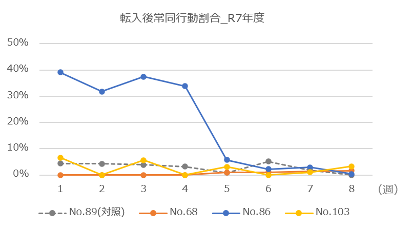 ブログ記事「ツシマヤマネコの移動のその後」のサムネイル画像