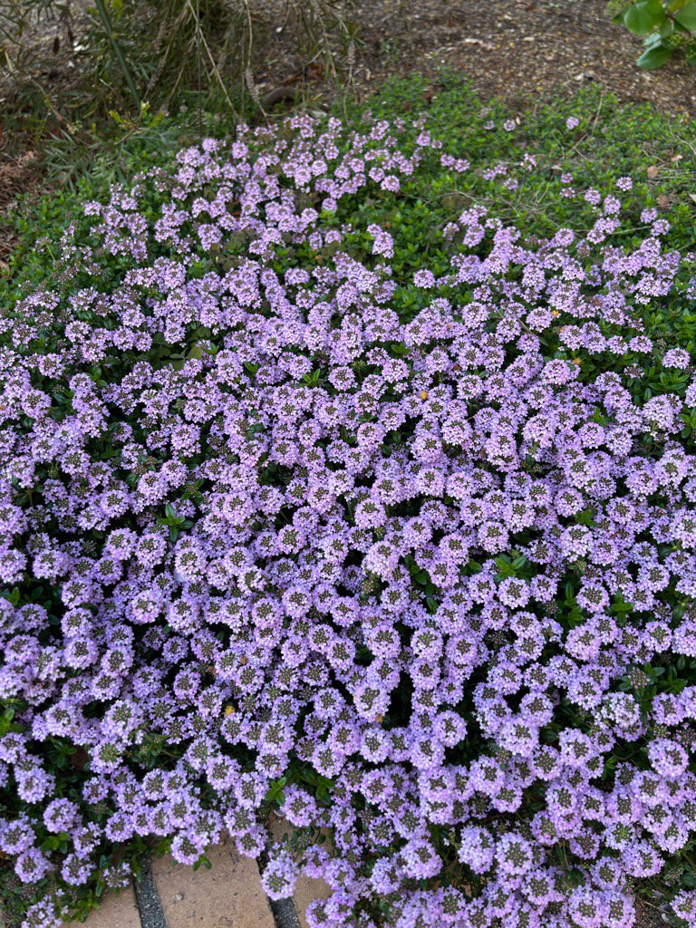 20260407タイム .jpg