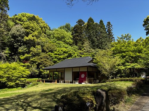 【写真７】0416 新緑＠也有園.JPG