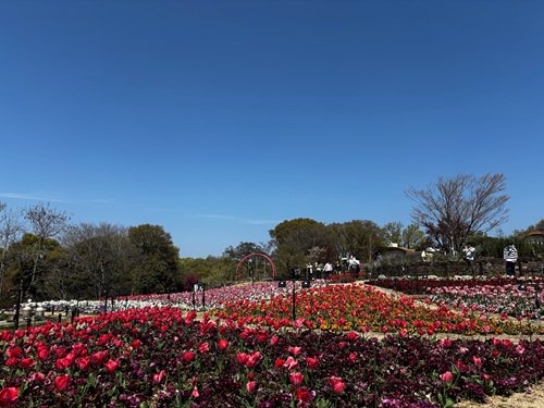 【写真1】花いっぱい花壇.jpg