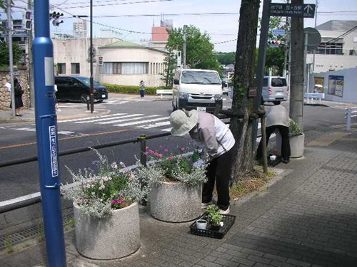 写真⑦.JPG