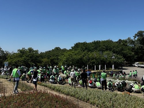 【写真２】530植え替え作業の様子.JPG