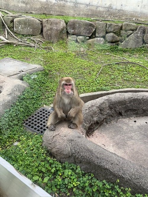 写真４.JPG