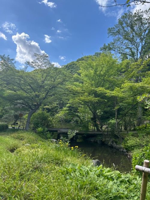 日本庭園20260511DS.jpg