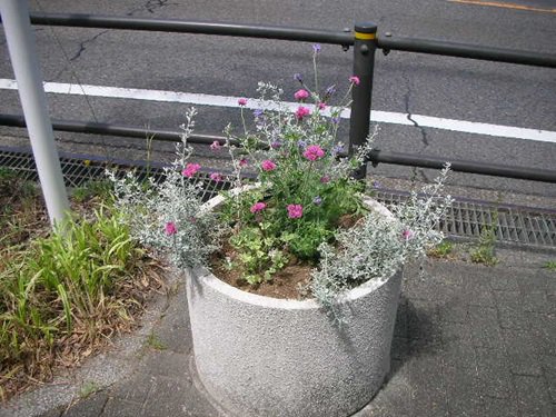 写真⑧.JPG