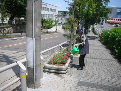 写真⑧.JPG