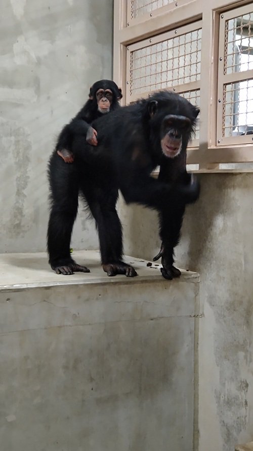 写真③カランとカズキ.JPG