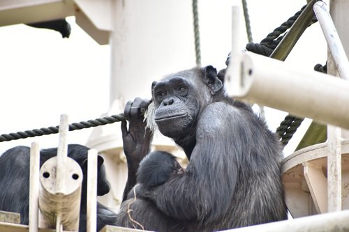 写真①カズミ.JPG