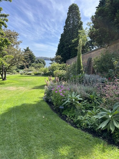 タスマニア王立植物園.jpg