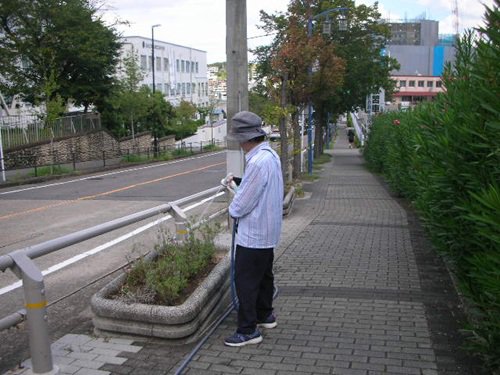 写真⑦.JPG