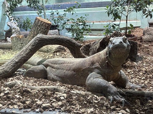 写真3 タロウ .jpg