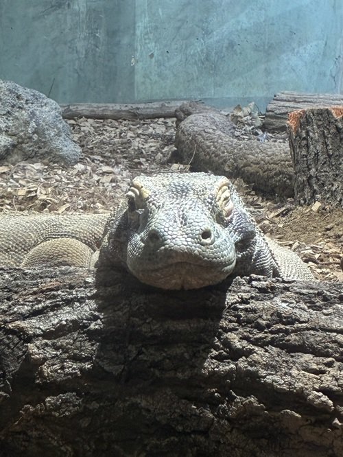 写真4 タロウ.jpg
