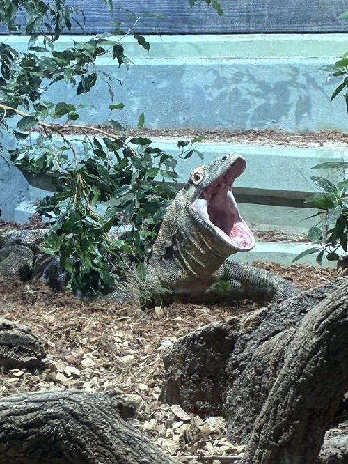 写真5 タロウ.jpg