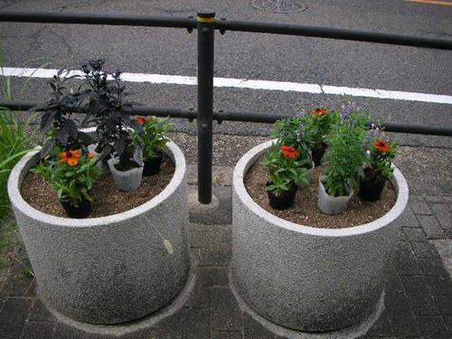 画像3.jpg