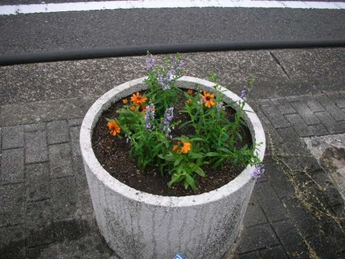 画像8.jpg