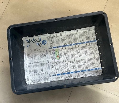 新聞紙敷く.jpg