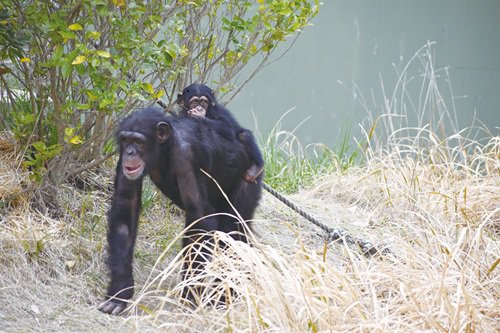 写真⑥カランとカズキ.jpg