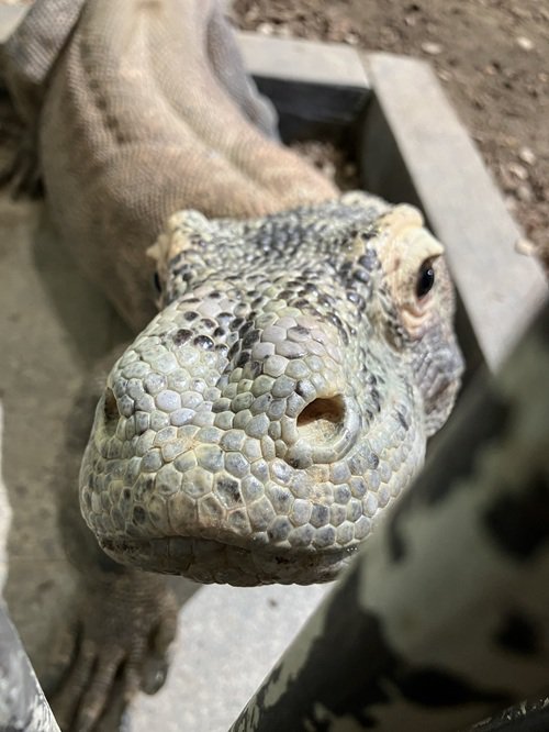 写真6 タロウ.jpg