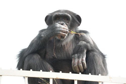 写真①カラン.JPG