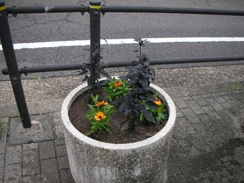 画像7.jpg